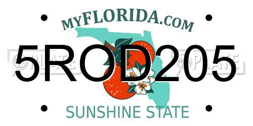 5ROD205 Florida License Plate