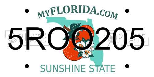 5ROO205 Florida License Plate