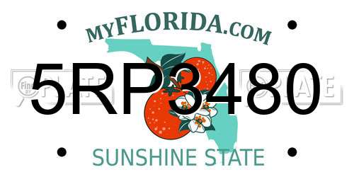 5RP3480 Florida License Plate