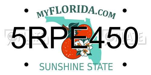 5RPE450 Florida License Plate