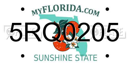 5RQ0205 Florida License Plate