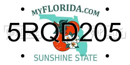5RQD205 Florida License Plate