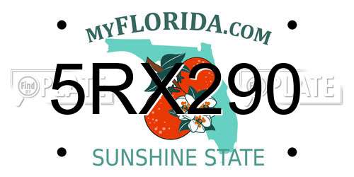 5RX290 Florida License Plate