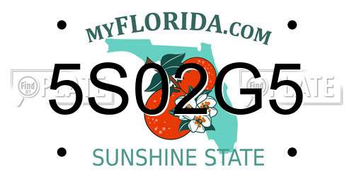 5S02G5 Florida License Plate