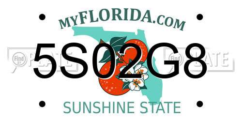 5S02G8 Florida License Plate