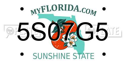 5S07G5 Florida License Plate