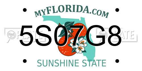 5S07G8 Florida License Plate