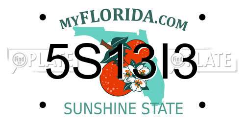 5S13I3 Florida License Plate