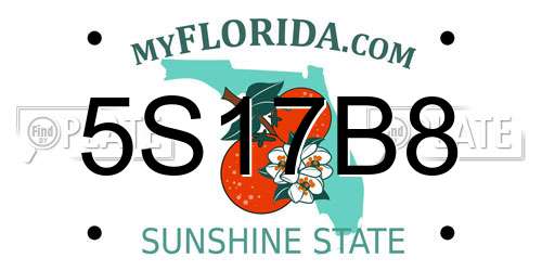 5S17B8 Florida License Plate