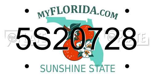 5S20728 Florida License Plate