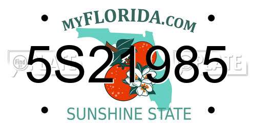 5S21985 Florida License Plate