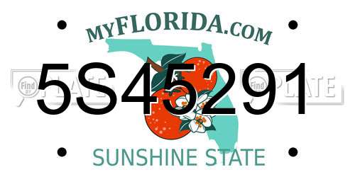 5S45291 Florida License Plate