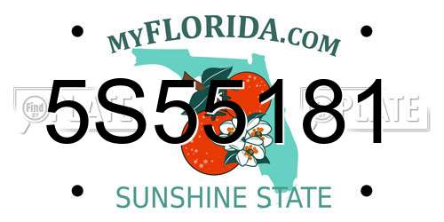 5S55181 Florida License Plate