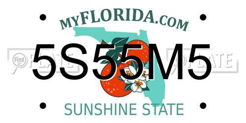 5S55M5 Florida License Plate