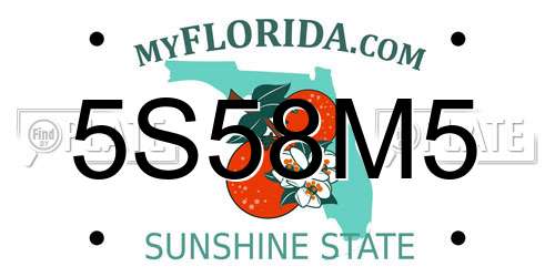 5S58M5 Florida License Plate