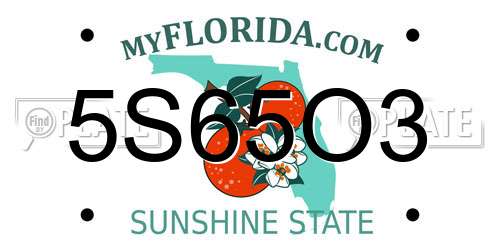 5S65O3 Florida License Plate