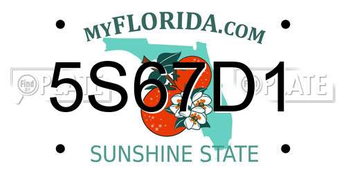 5S67D1 Florida License Plate