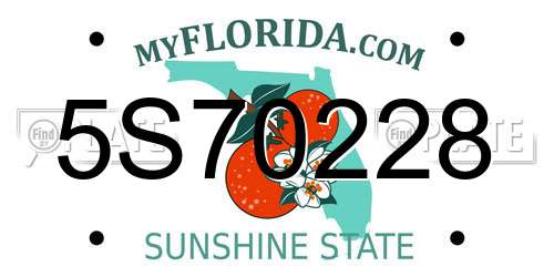 5S70228 Florida License Plate