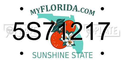 5S71217 Florida License Plate