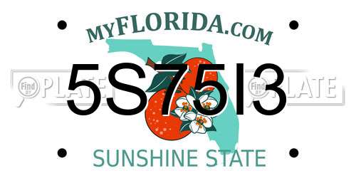 5S75I3 Florida License Plate