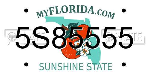5S85555 Florida License Plate