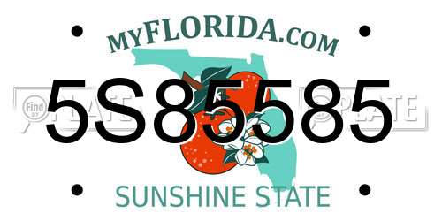 5S85585 Florida License Plate