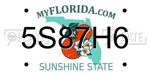 5S87H6 Florida License Plate