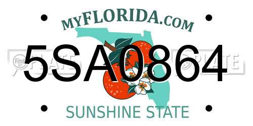 5SA0864 Florida License Plate