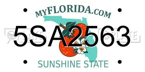 5SA2563 Florida License Plate