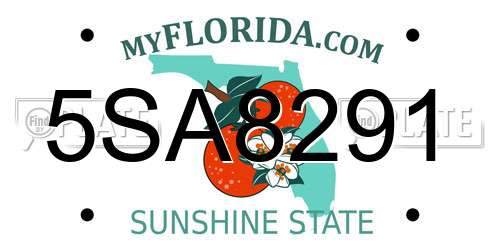 5SA8291 Florida License Plate