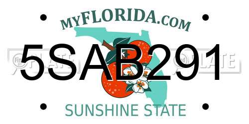 5SAB291 Florida License Plate