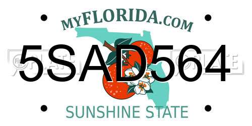 5SAD564 Florida License Plate