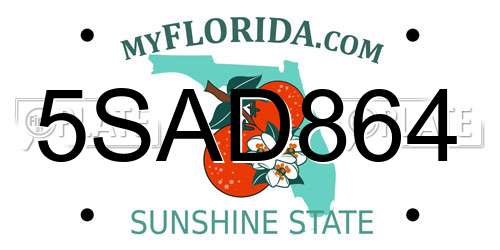 5SAD864 Florida License Plate