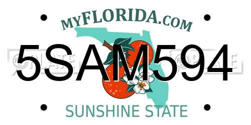 5SAM594 Florida License Plate