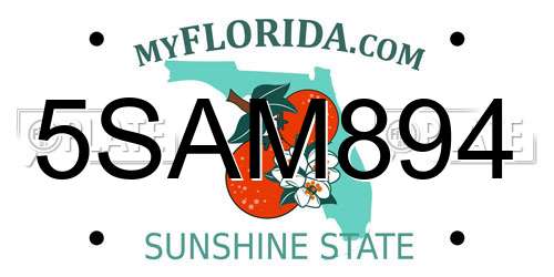 5SAM894 Florida License Plate