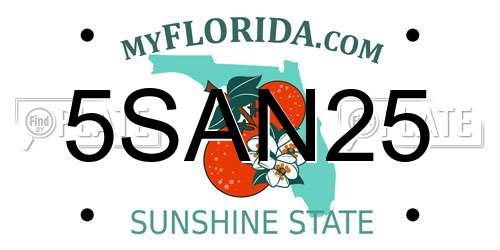 5SAN25 Florida License Plate