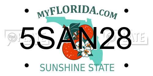 5SAN28 Florida License Plate