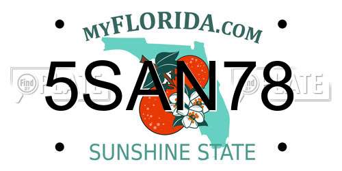 5SAN78 Florida License Plate