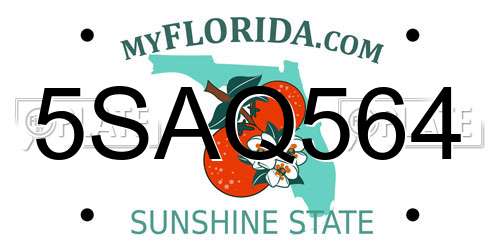 5SAQ564 Florida License Plate