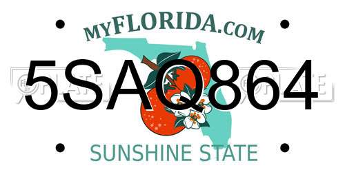 5SAQ864 Florida License Plate