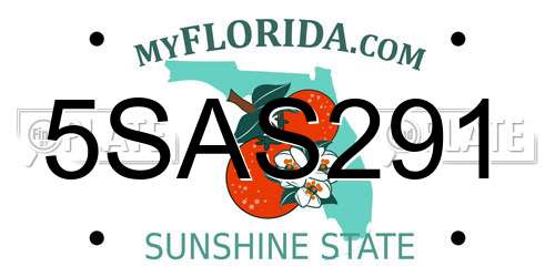 5SAS291 Florida License Plate