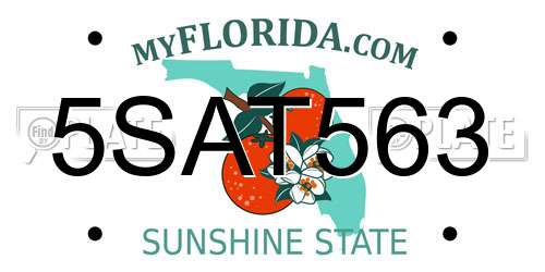 5SAT563 Florida License Plate