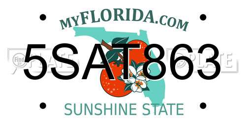 5SAT863 Florida License Plate