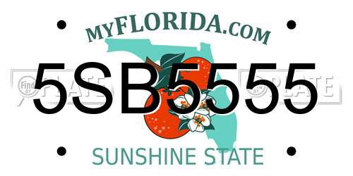5SB5555 Florida License Plate