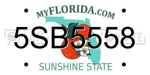 5SB5558 Florida License Plate