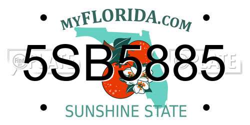 5SB5885 Florida License Plate