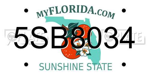 5SB8034 Florida License Plate
