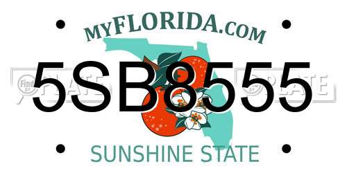 5SB8555 Florida License Plate
