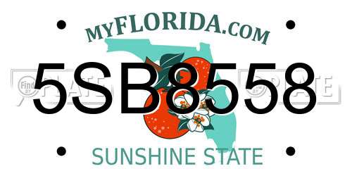 5SB8558 Florida License Plate