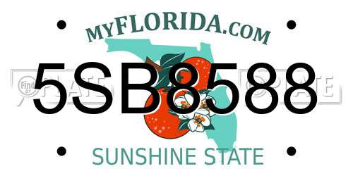 5SB8588 Florida License Plate